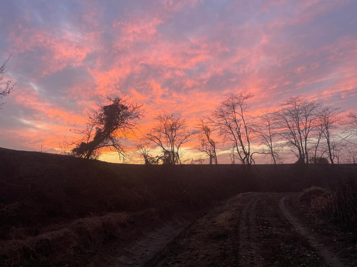 Appartamento Le Risaie Vercelli Exteriér fotografie